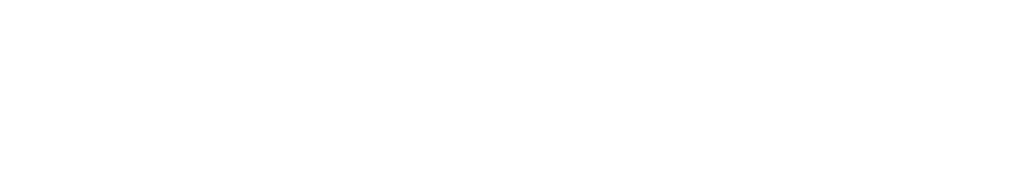 Ford Logo